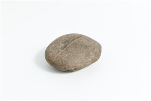 Image description is not available for 2010.3.19